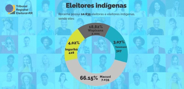 Dados Eleitorais - eleitores indígenas - 22.07.2024